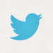 Twitter Logo New